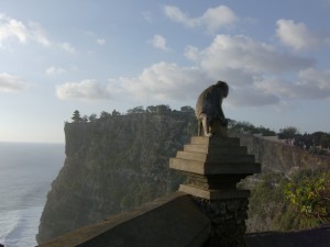 Un singe perché au sommet de falaises